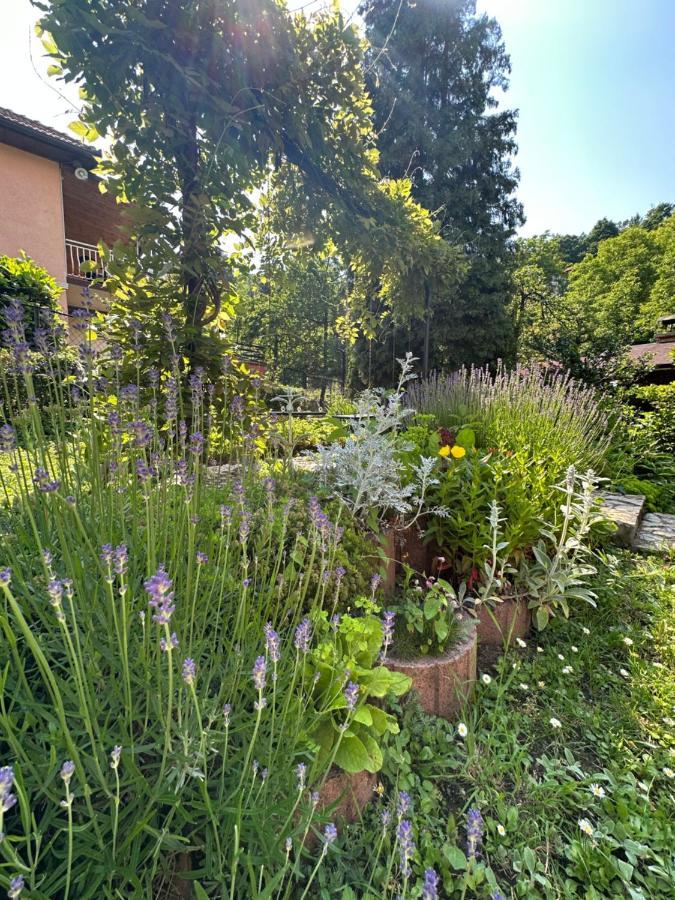 Beautiful House Overlooking סראייבו מראה חיצוני תמונה