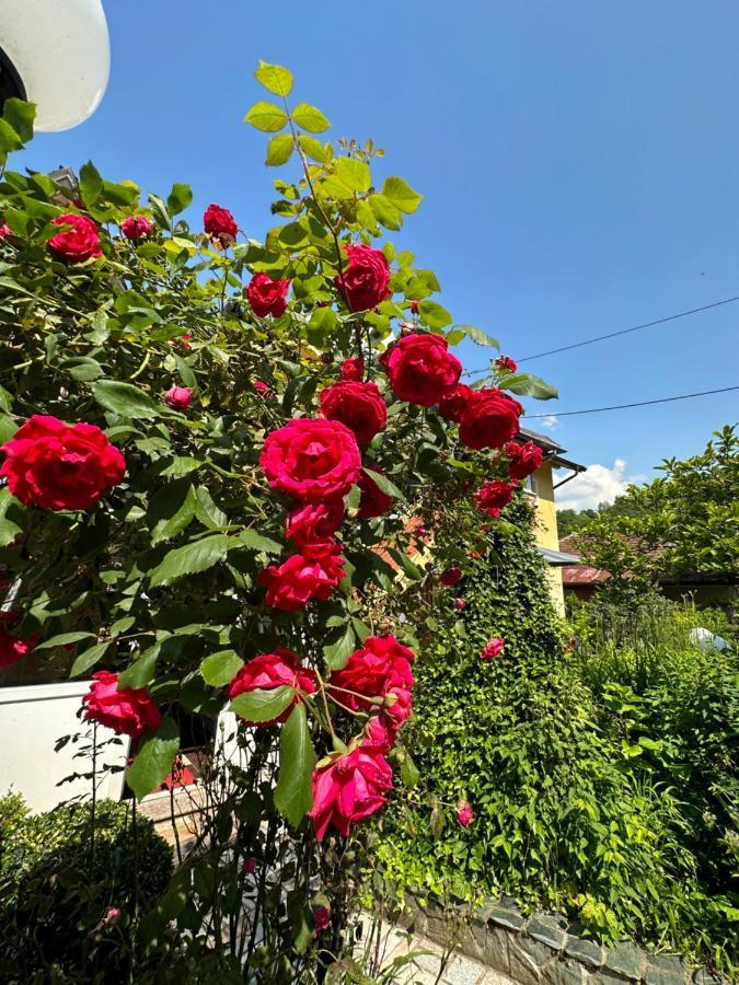Beautiful House Overlooking סראייבו מראה חיצוני תמונה